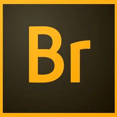 Иконка Adobe Bridge CC 2019 9.0.1.216 (2018) PC RePack by KpoJIuK