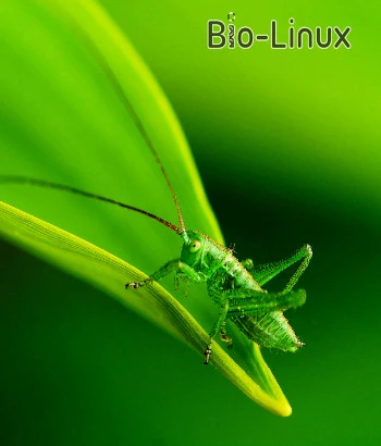 Иконка Bio-Linux