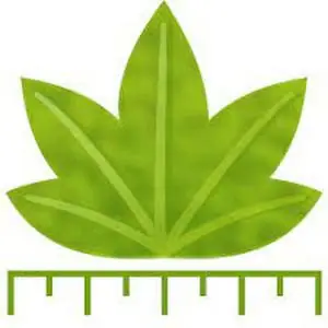 Иконка Digimizer 6.3.0 [En]