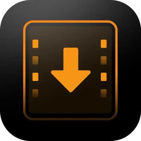 Иконка iDownerGo Video Downloader 10.2.6 RePack (& Portable) by elchupacabra [Multi Ru]