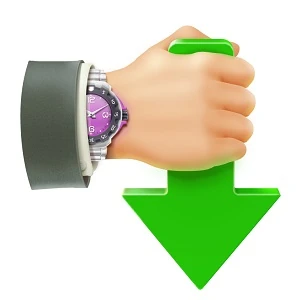 Иконка Internet Download Accelerator