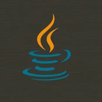 Иконка Java SE Runtime Environment 8.0.3010.9 [En]