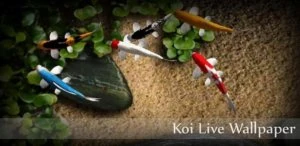 Иконка Koi Live Wallpaper