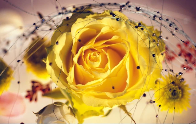 Иконка Обои