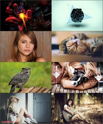 Иконка Обои для рабочего стола