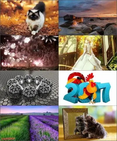 Иконка Обои для рабочего стола - Разное [1680x1050 - 2560х1600] [112шт.] (2016) JPG