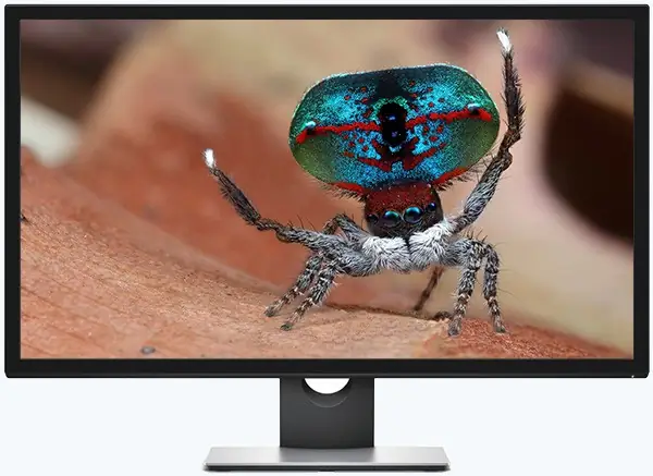 Иконка Обои - Лихие скакуны. 3840x2160 - 50 шт (2017) JPG