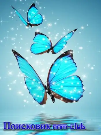 Иконка Поисковик NNM-Club 3.2.1.0 Portable [Ru]