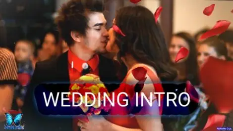 Иконка Проекты - VideoHive - Wedding Intro - 14584906 [AEP]