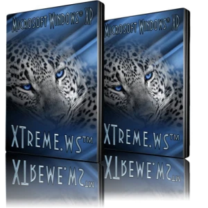 Иконка WinStyle