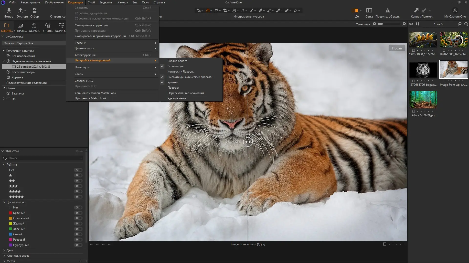 Инсталляция и активация
