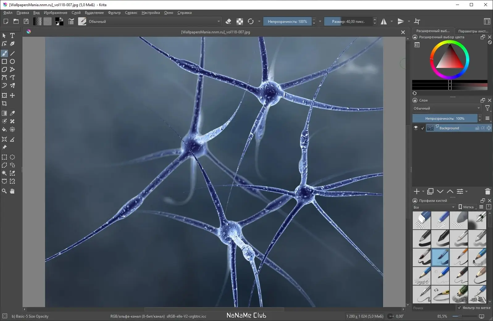 Инсталляция и активация