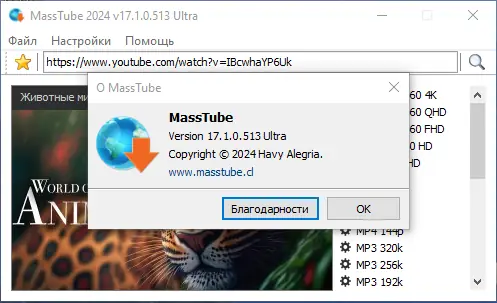 Инсталляция и активация