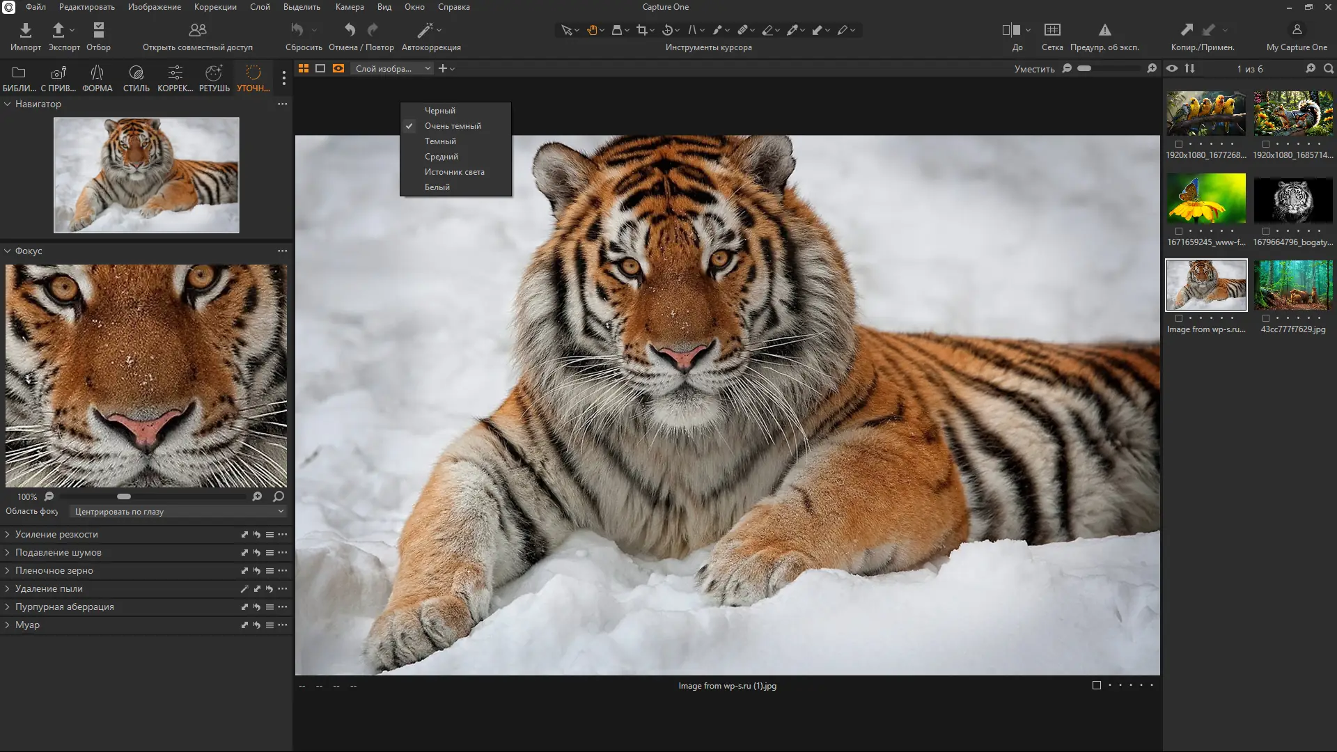 Инсталляция и активация