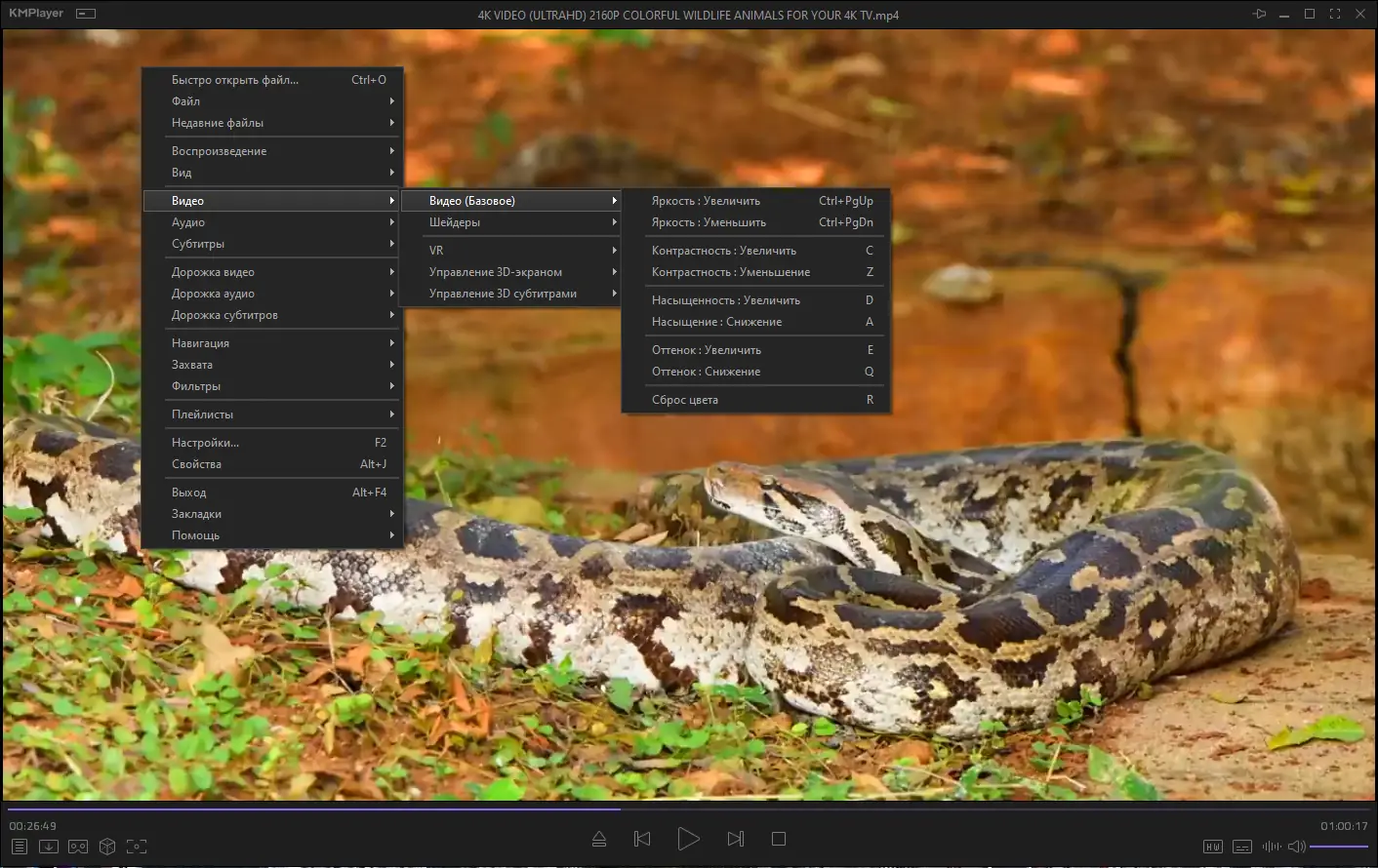Инсталляция и активация