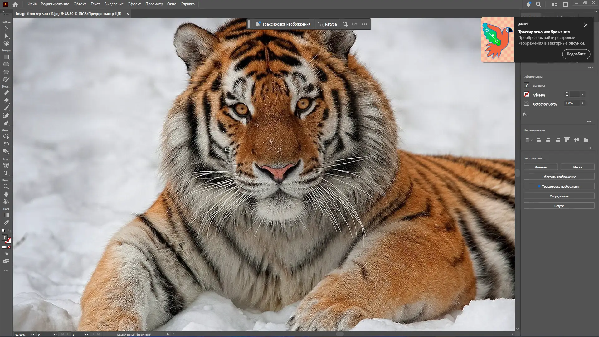 Инсталляция и активация