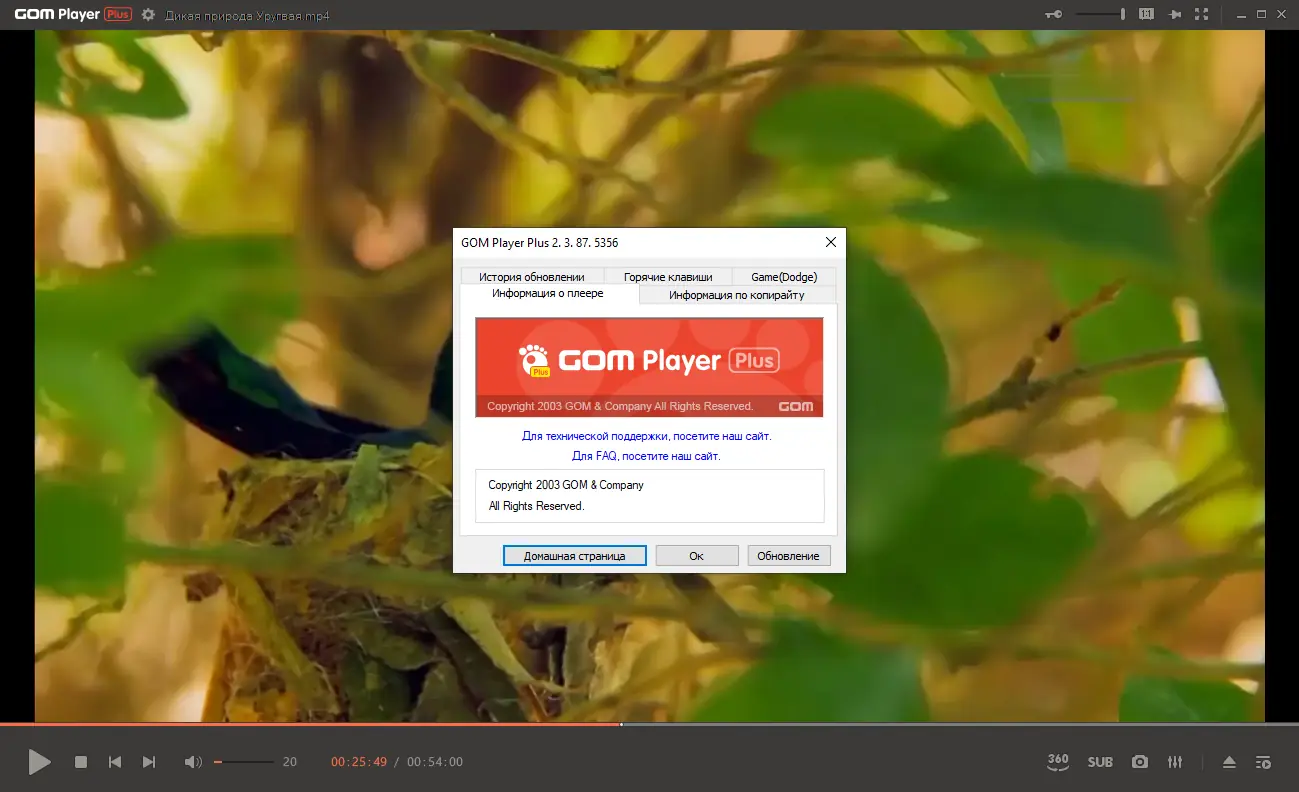 Инсталляция и активация