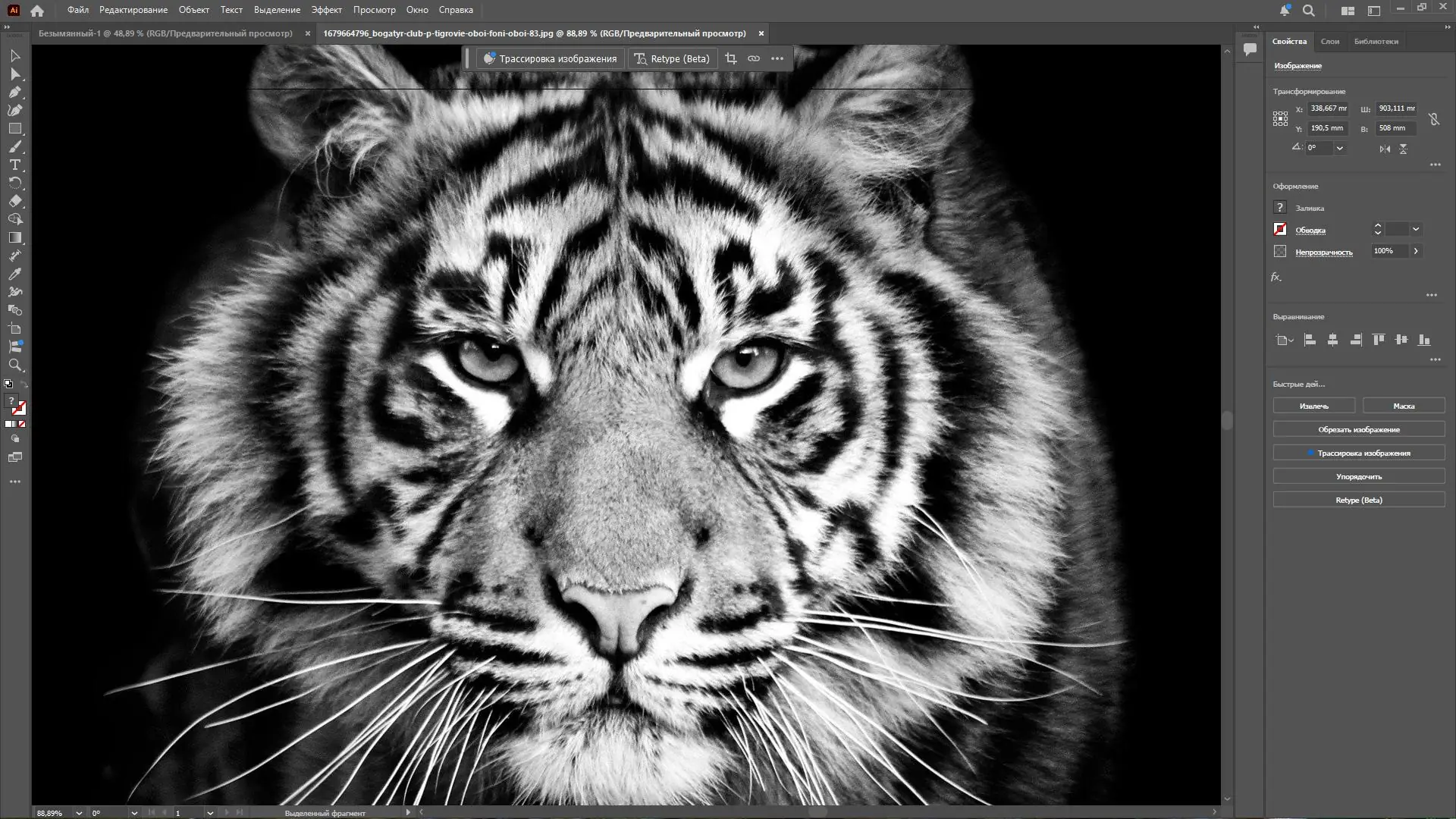 Инсталляция и активация