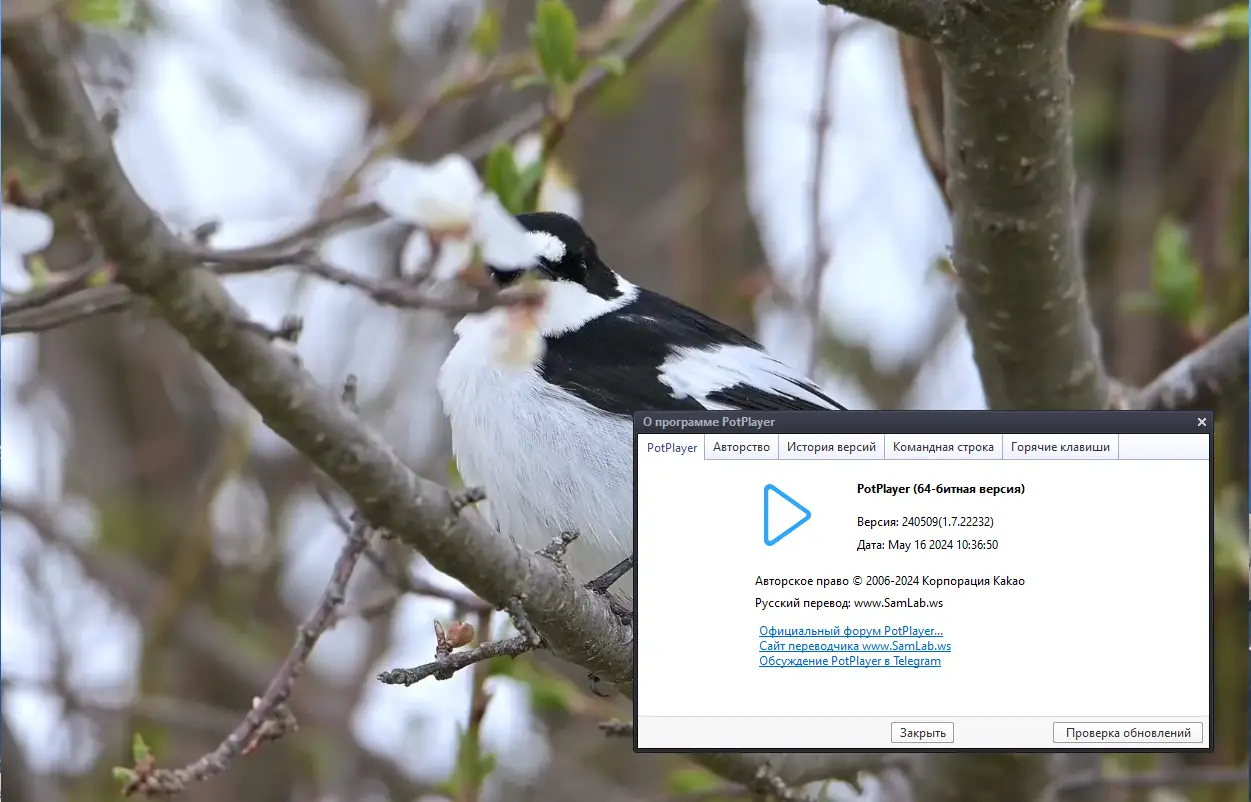 Инсталляция и активация