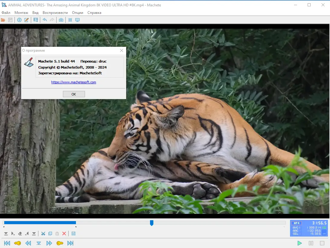 Инсталляция и активация