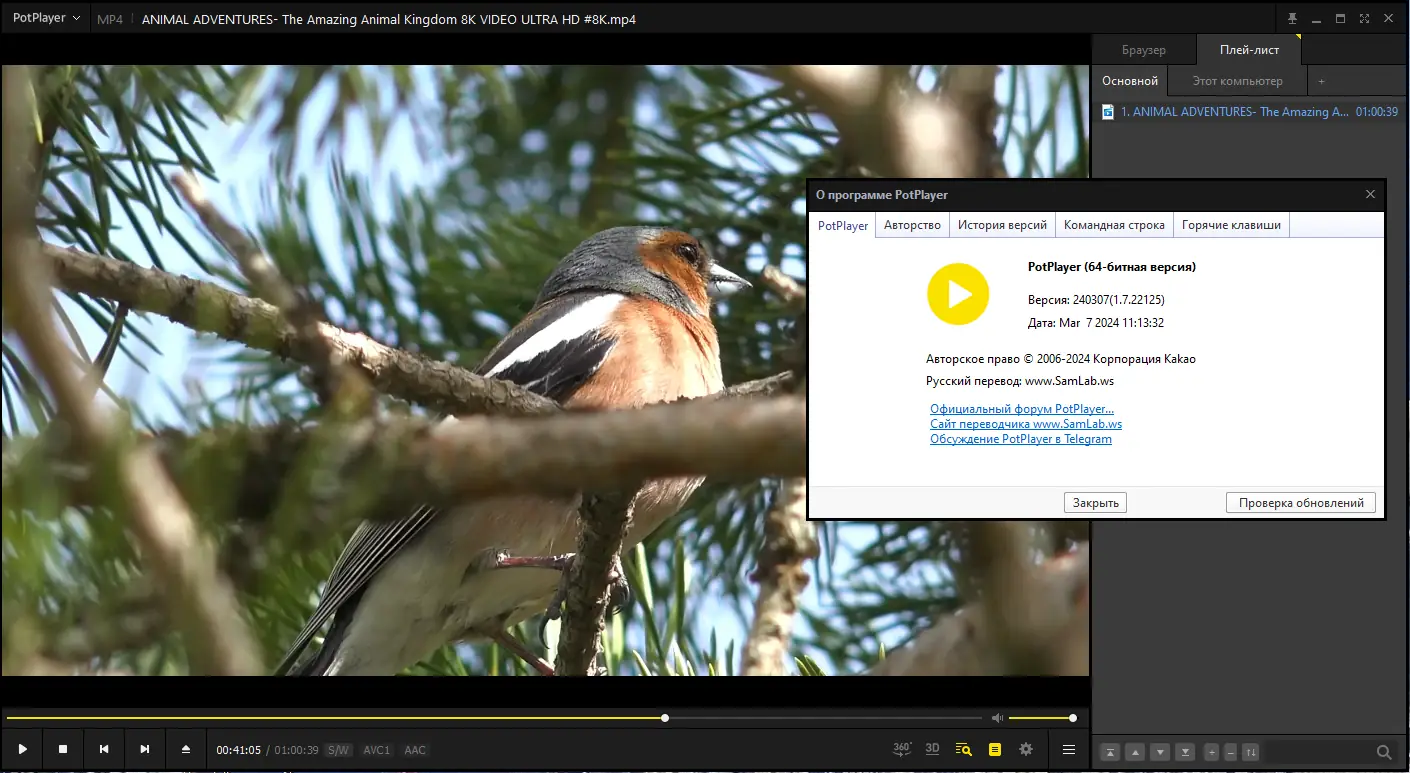 Инсталляция и активация