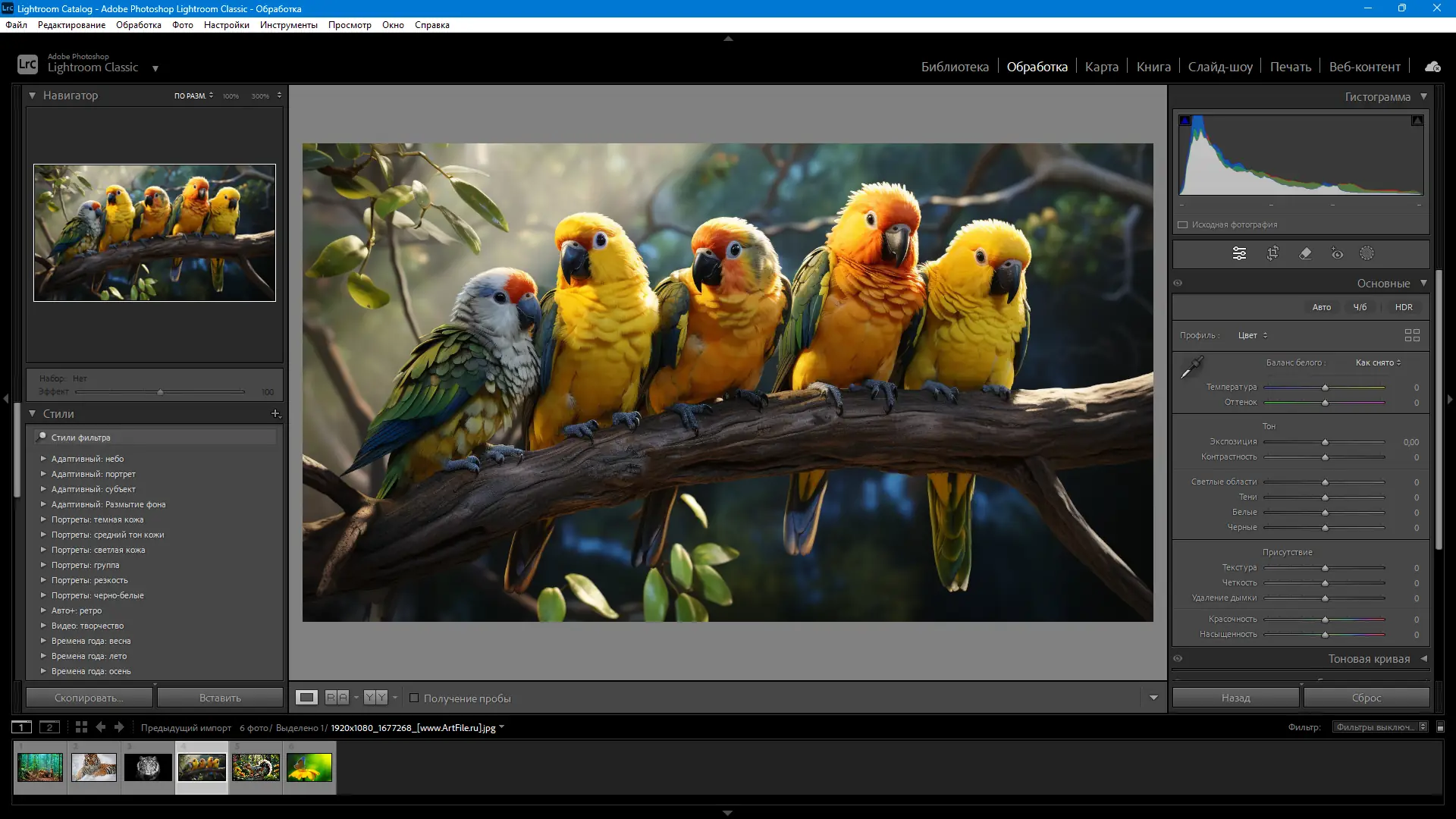 Инсталляция и активация