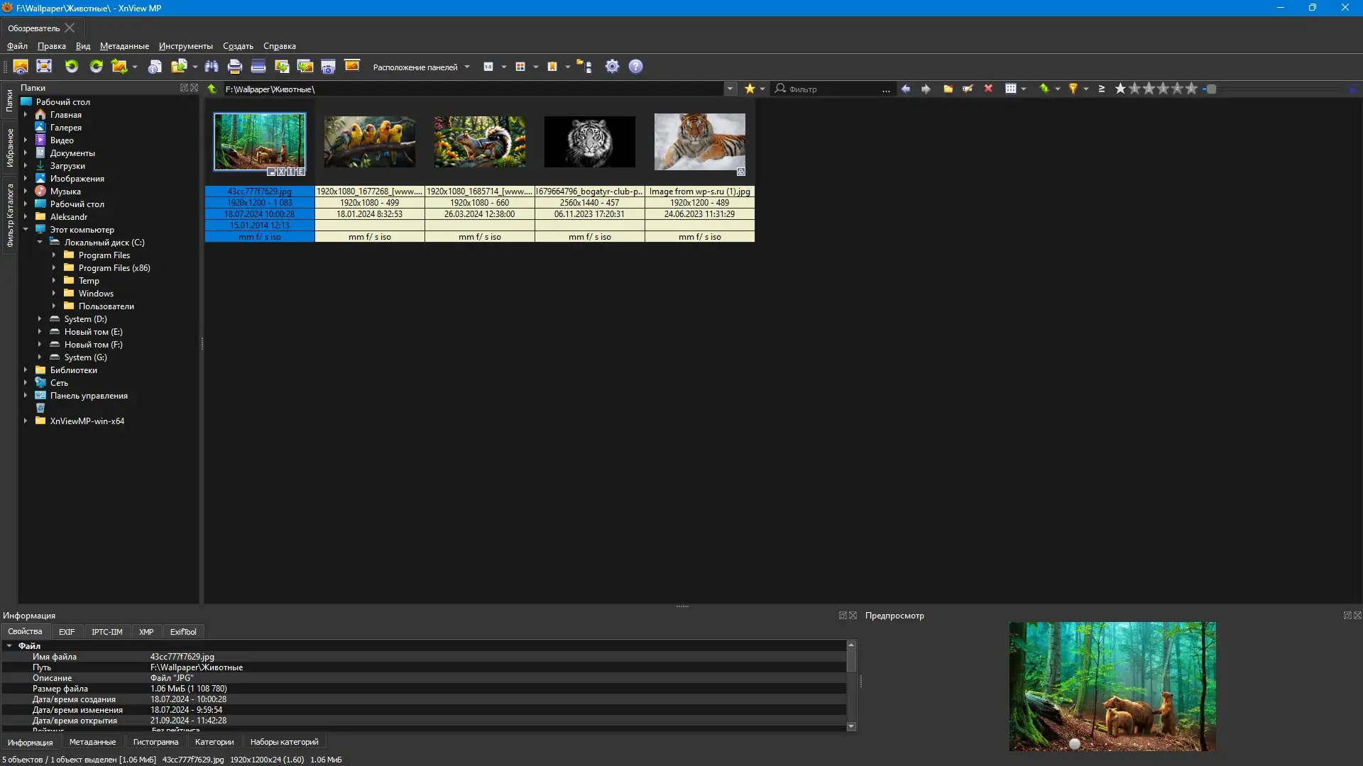 Настройки программы