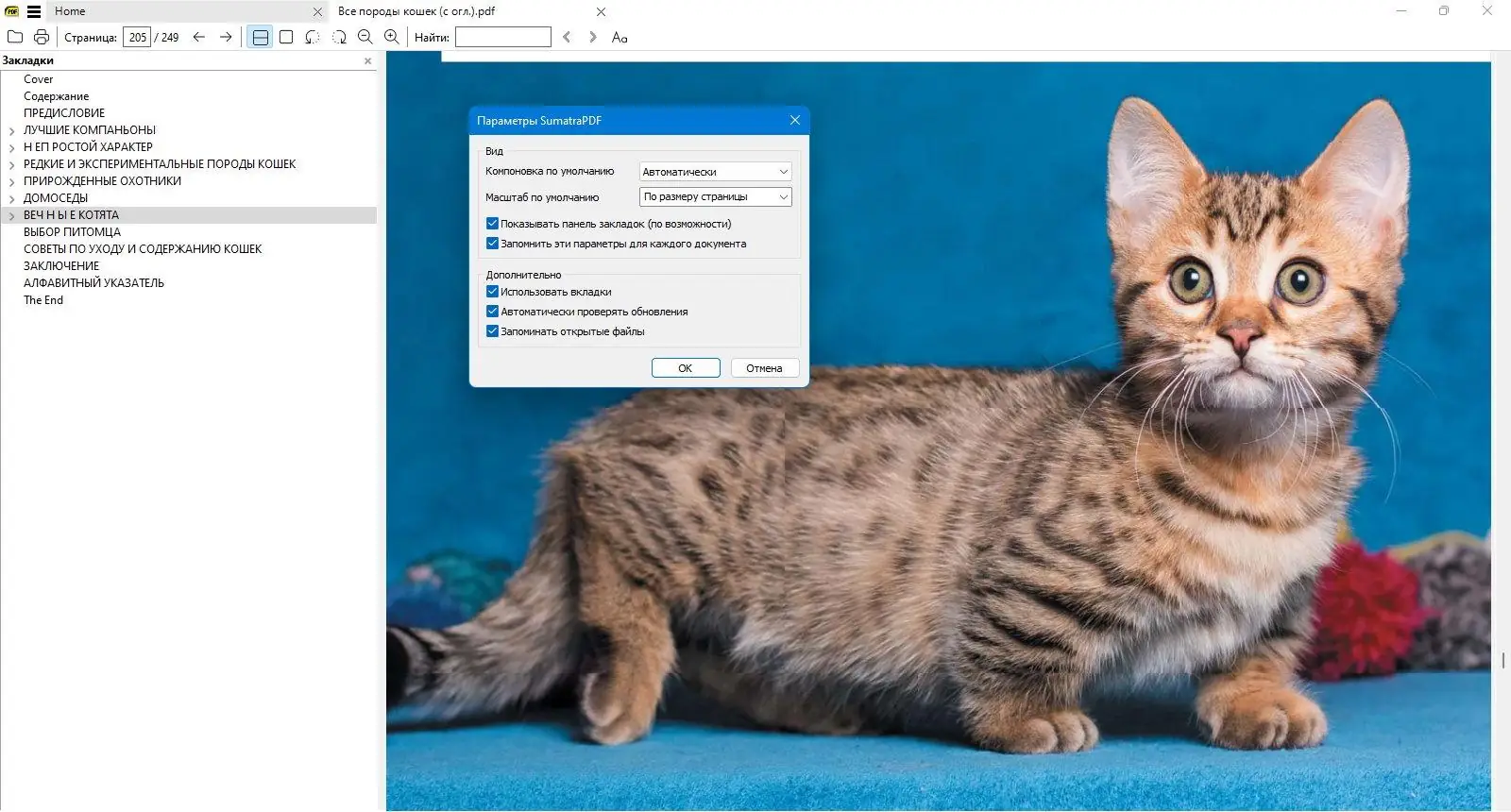 Настройки программы