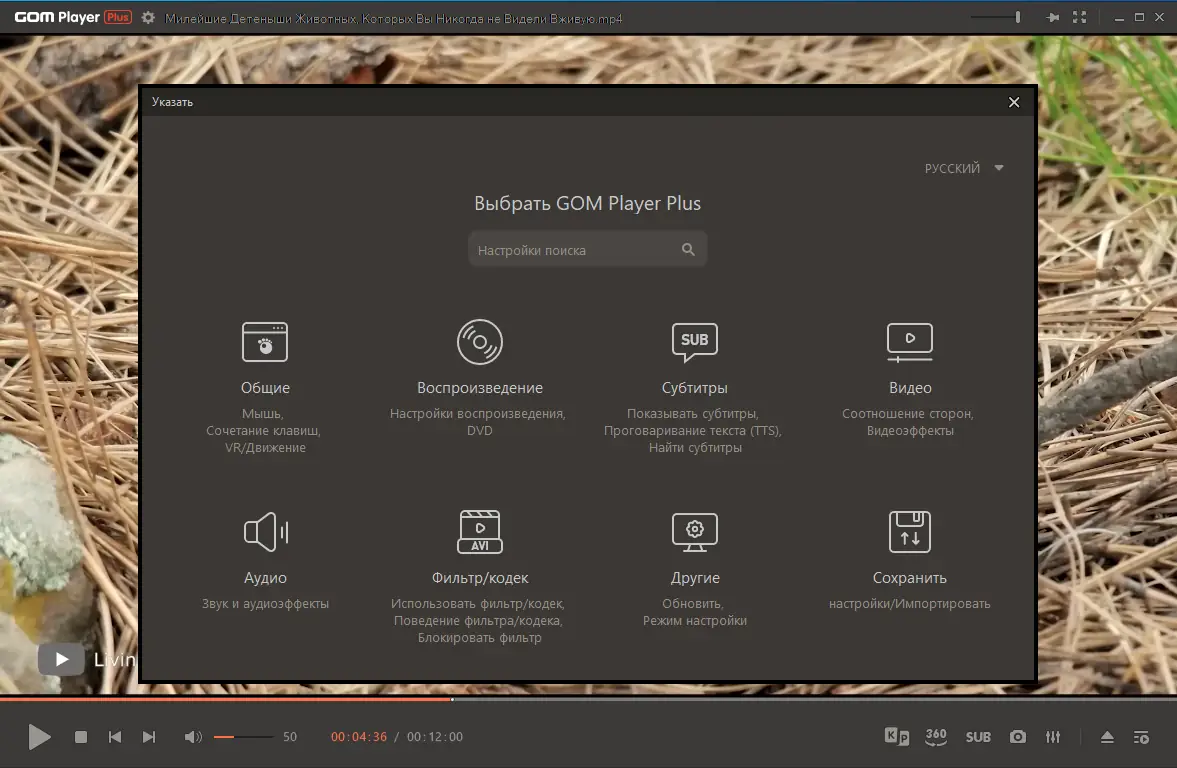 Настройки программы