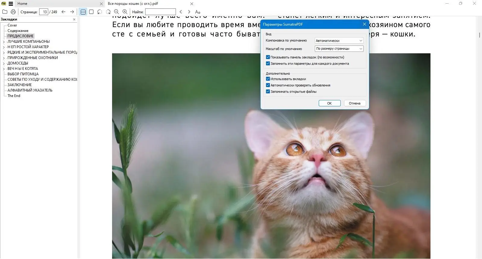 Настройки программы