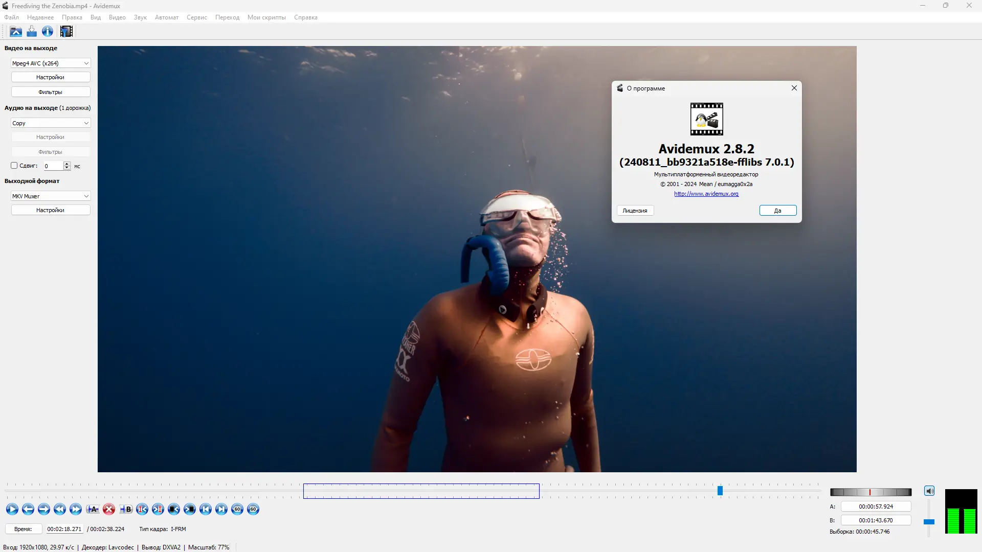 Пользовательсткй интерфейс Avidemux 2.8.2 Nightly (r240811) + Portable (x64) [Multi Ru]