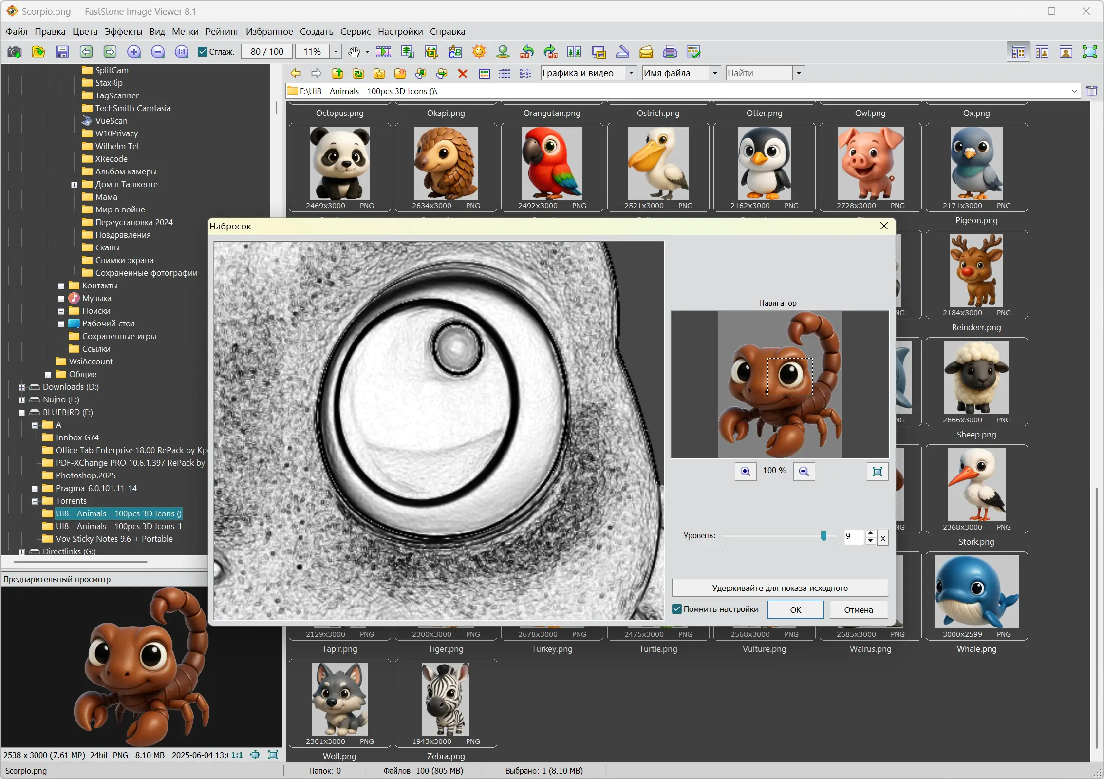 Пользовательсткй интерфейс FastStone Image Viewer 8.1 Corporate + Portable [Multi Ru]