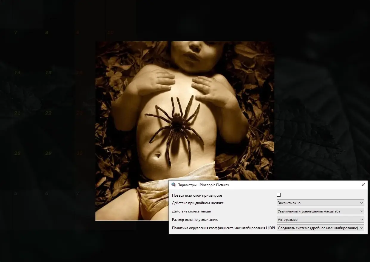 Пользовательсткй интерфейс Pineapple Pictures 0.7.2 Portable [Multi Ru]