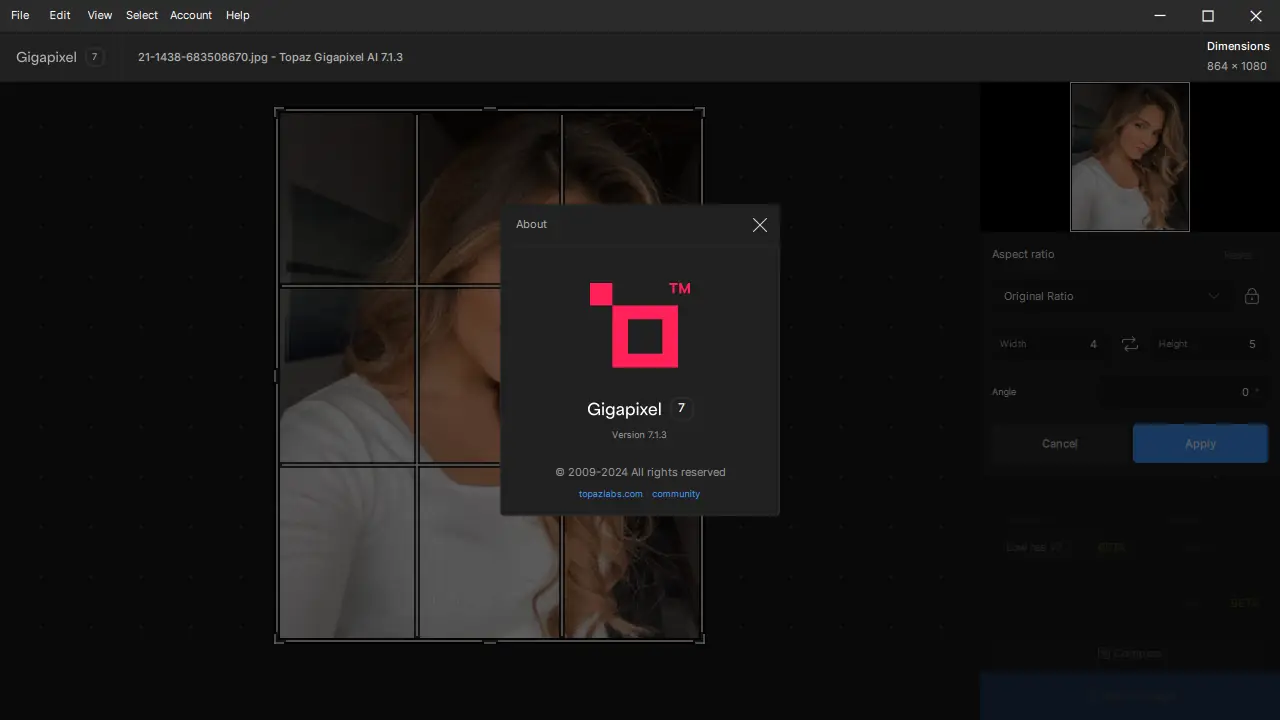 Пользовательсткй интерфейс Topaz Gigapixel AI 7.1.3 + models Portable by 7997 [En]