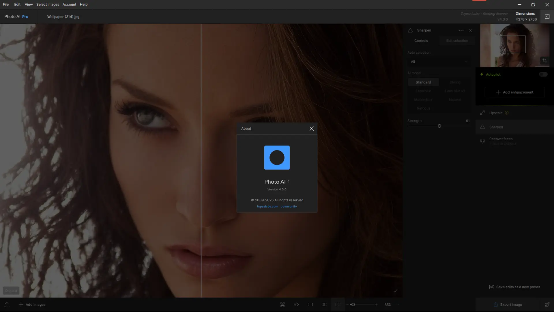 Пользовательсткй интерфейс Topaz Photo AI Pro 4.0.0 Portable by 7997 + Models [En]