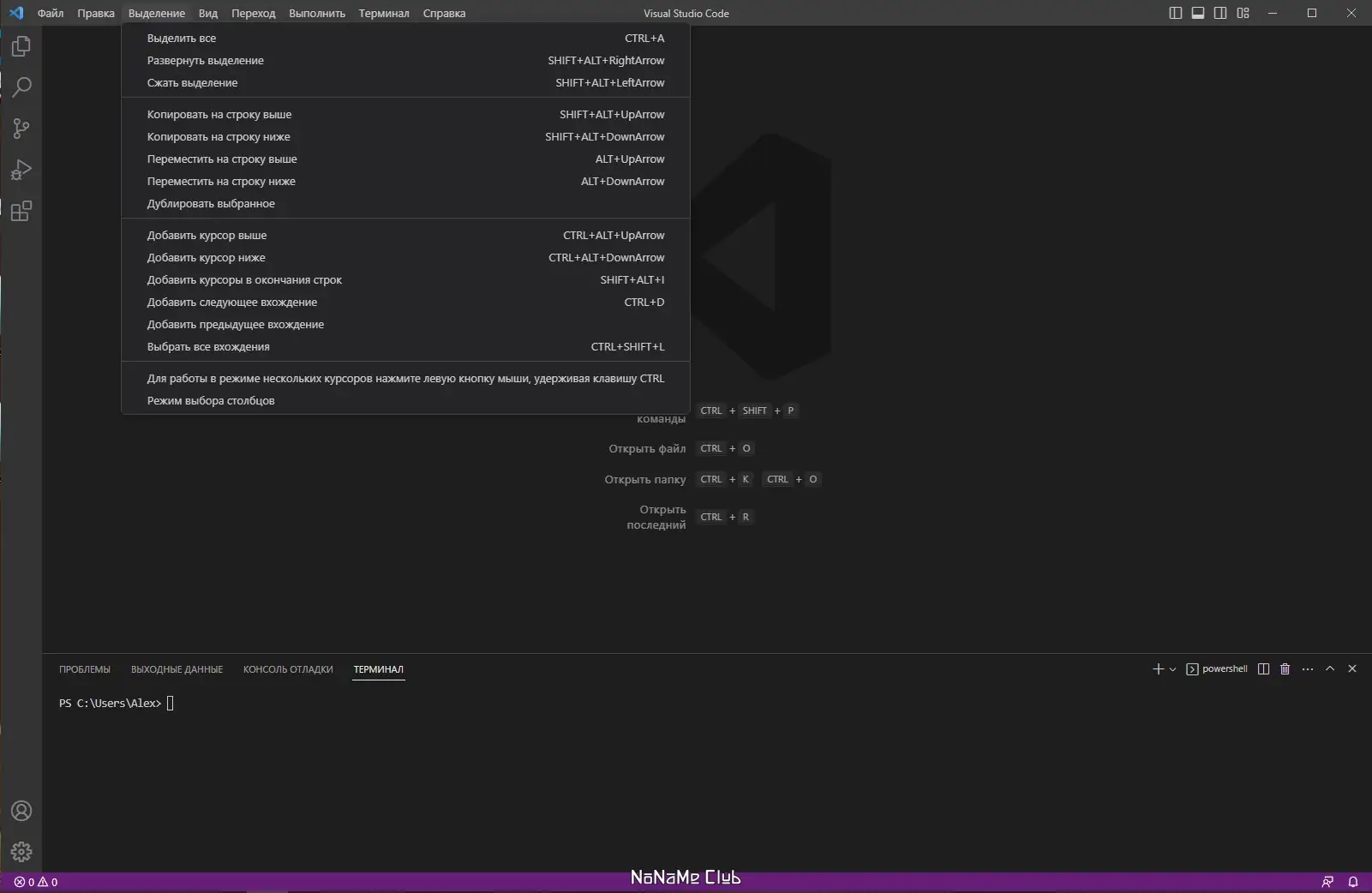 Пользовательсткй интерфейс Visual Studio Code 1.75.0 + Автономная версия (standalone) [Multi Ru]