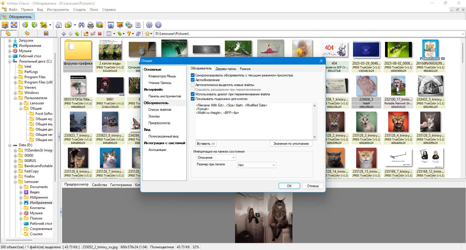 Пользовательсткй интерфейс XnView Classic 2.51.4 (Minimal-Standard-Extended) + Portable [Multi Ru]