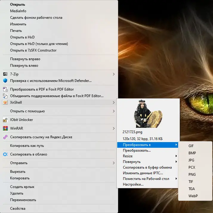Пользовательсткй интерфейс XnView Shell Extension 4.1.14 + Standalone [Multi Ru]