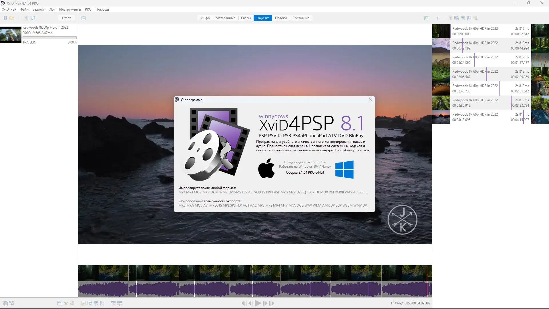 Пользовательсткй интерфейс XviD4PSP 8.1.54 Pro (x64) Portable by conservator [Multi Ru]