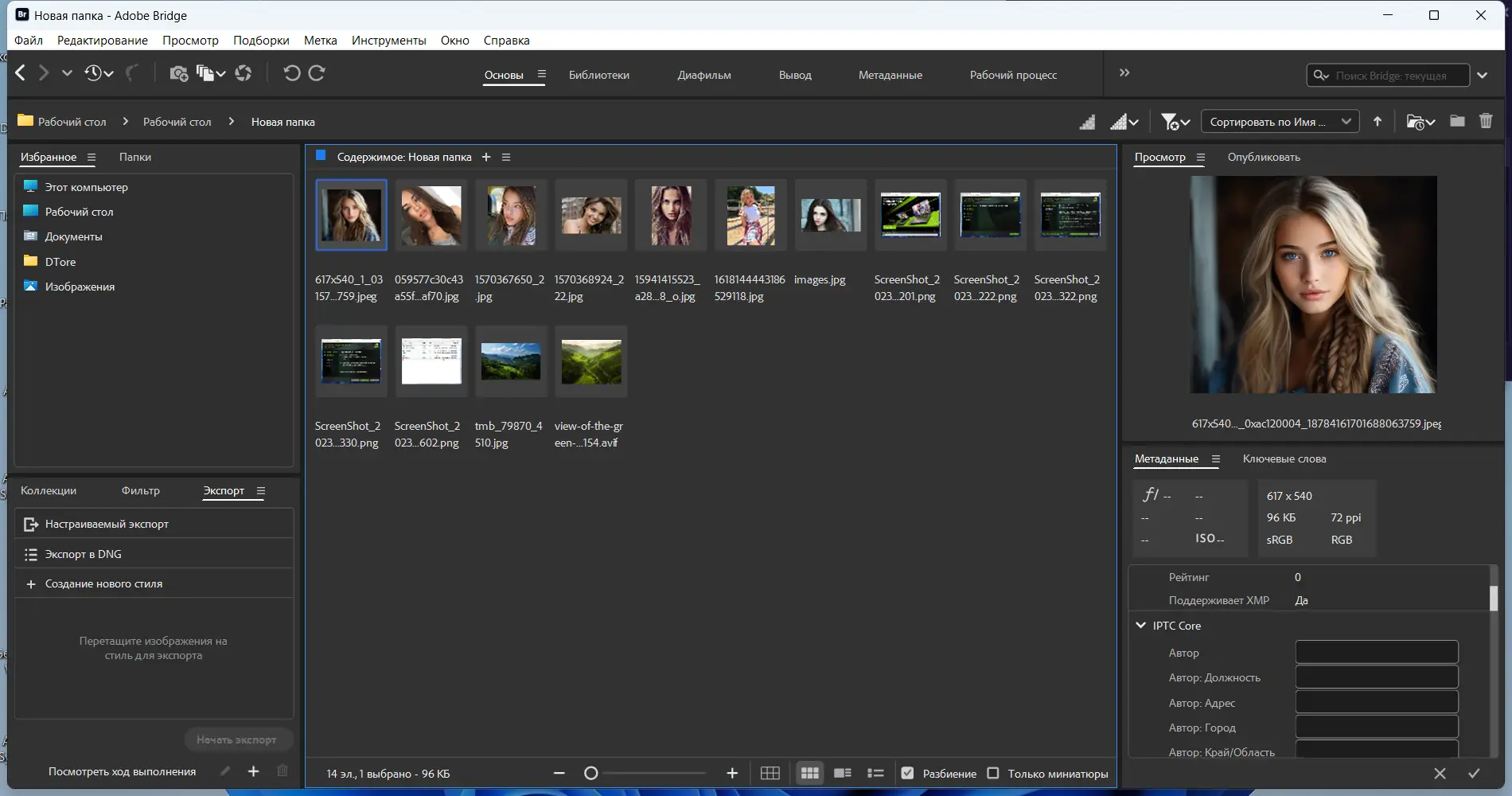 Программный интерфейс Adobe Bridge 2024 14.0.3.200 RePack by KpoJIuK [Multi Ru]