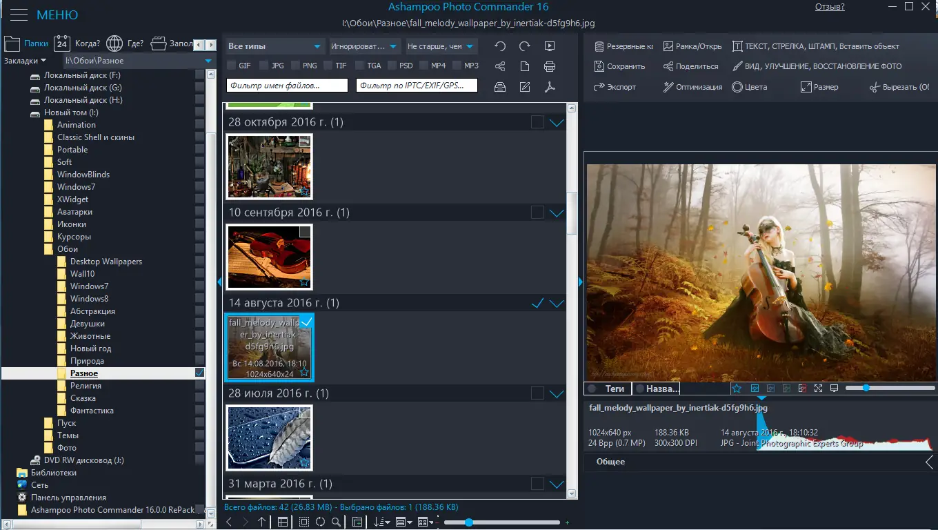 Программный интерфейс Ashampoo Photo Commander 16.2.0 (2020) PC RePack & Portable by TryRooM