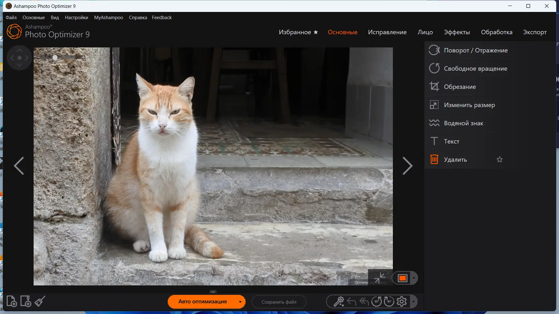 Программный интерфейс Ashampoo Photo Optimizer 9.4.7.36 RePack (& Portable) by TryRooM [Multi Ru]