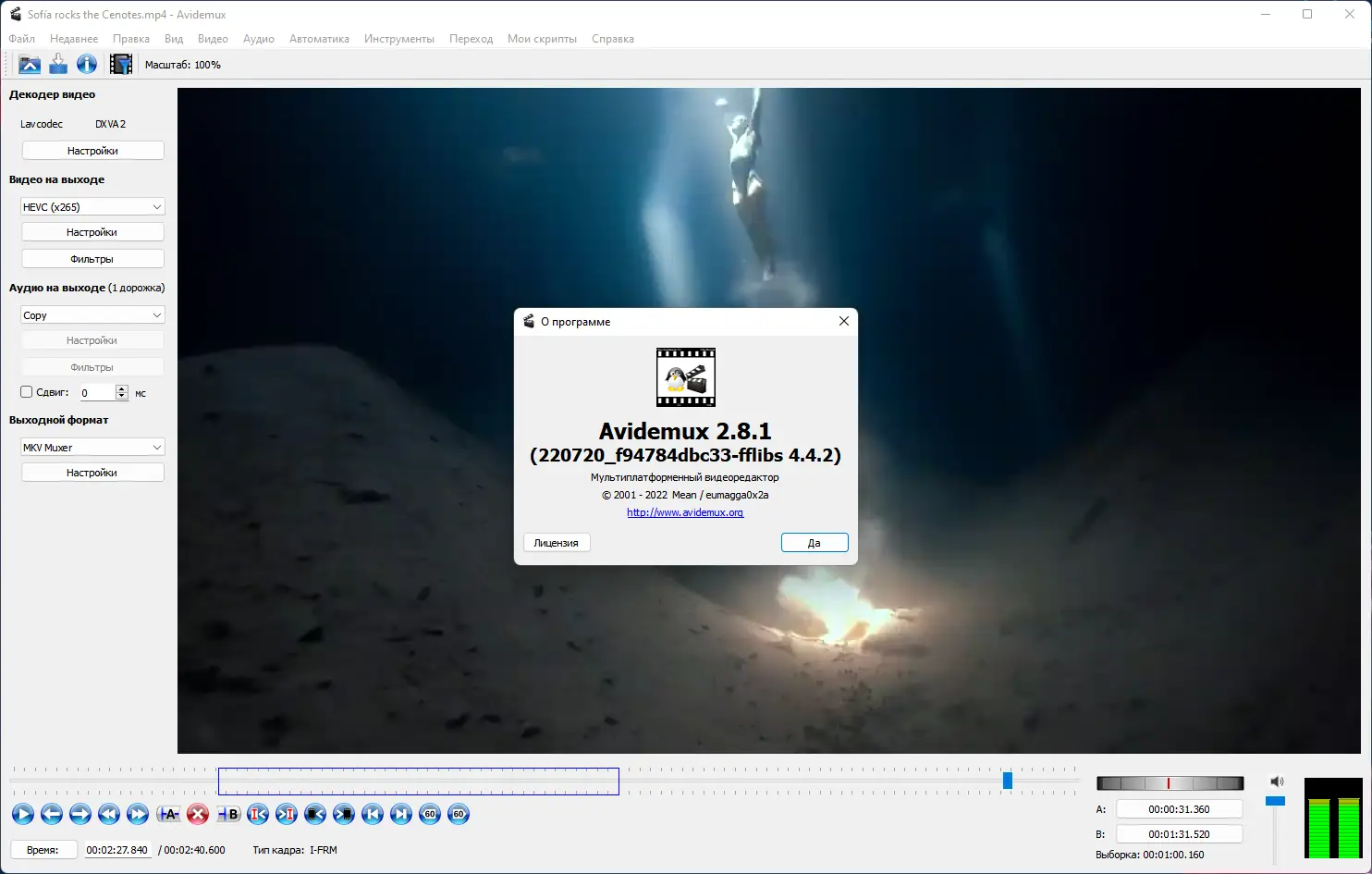 Программный интерфейс Avidemux 2.8.1 Nightly(r220720) + Portable (x64) [Multi Ru]