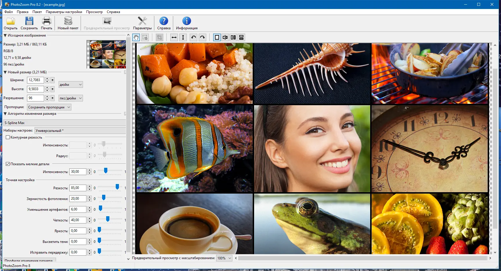 Программный интерфейс Benvista PhotoZoom Pro 8.2.0 RePack (& portable) by elchupacabra [Multi Ru]