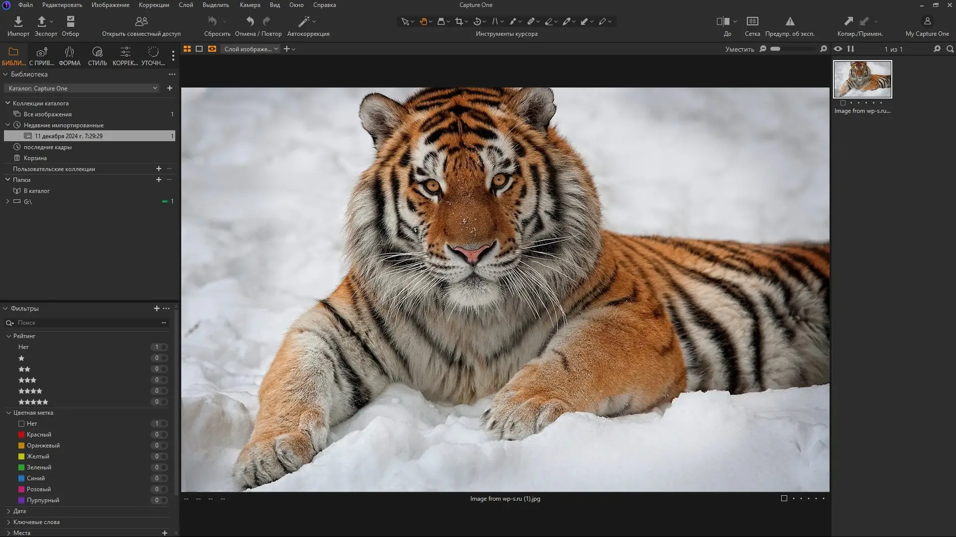 Программный интерфейс Capture One 23 Enterprise 16.5.2.2623 RePack by KpoJIuK [Multi Ru]