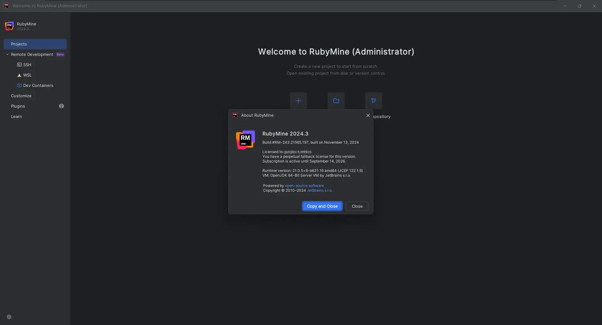 Программный интерфейс JetBrains RubyMine 2024.3 (x64-arm64) Repack by Sitego