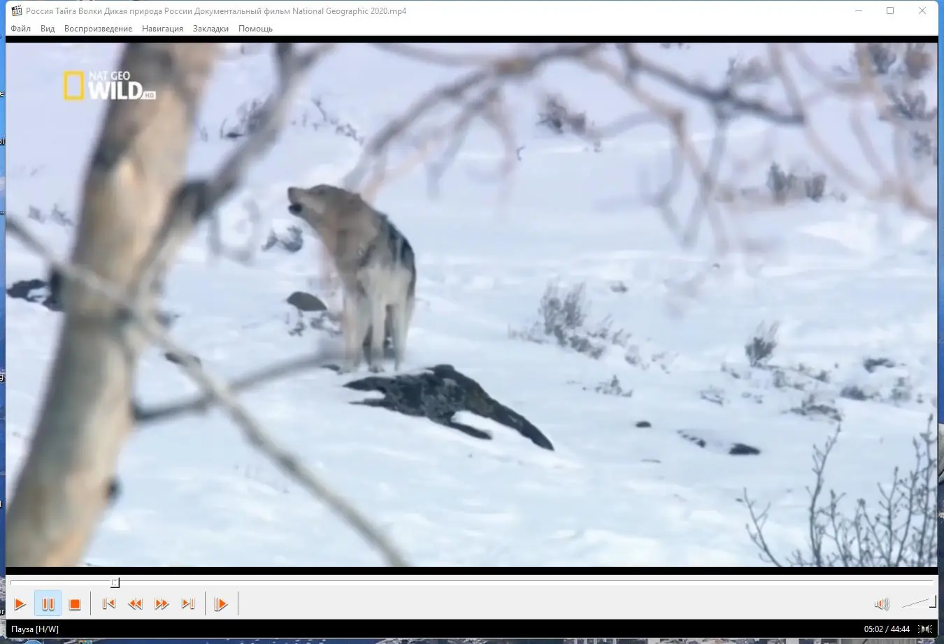 Программный интерфейс Media Player Classic Home Cinema (MPC-HC) 1.9.24 RePack (& portable) by elchupacabra [Multi Ru]