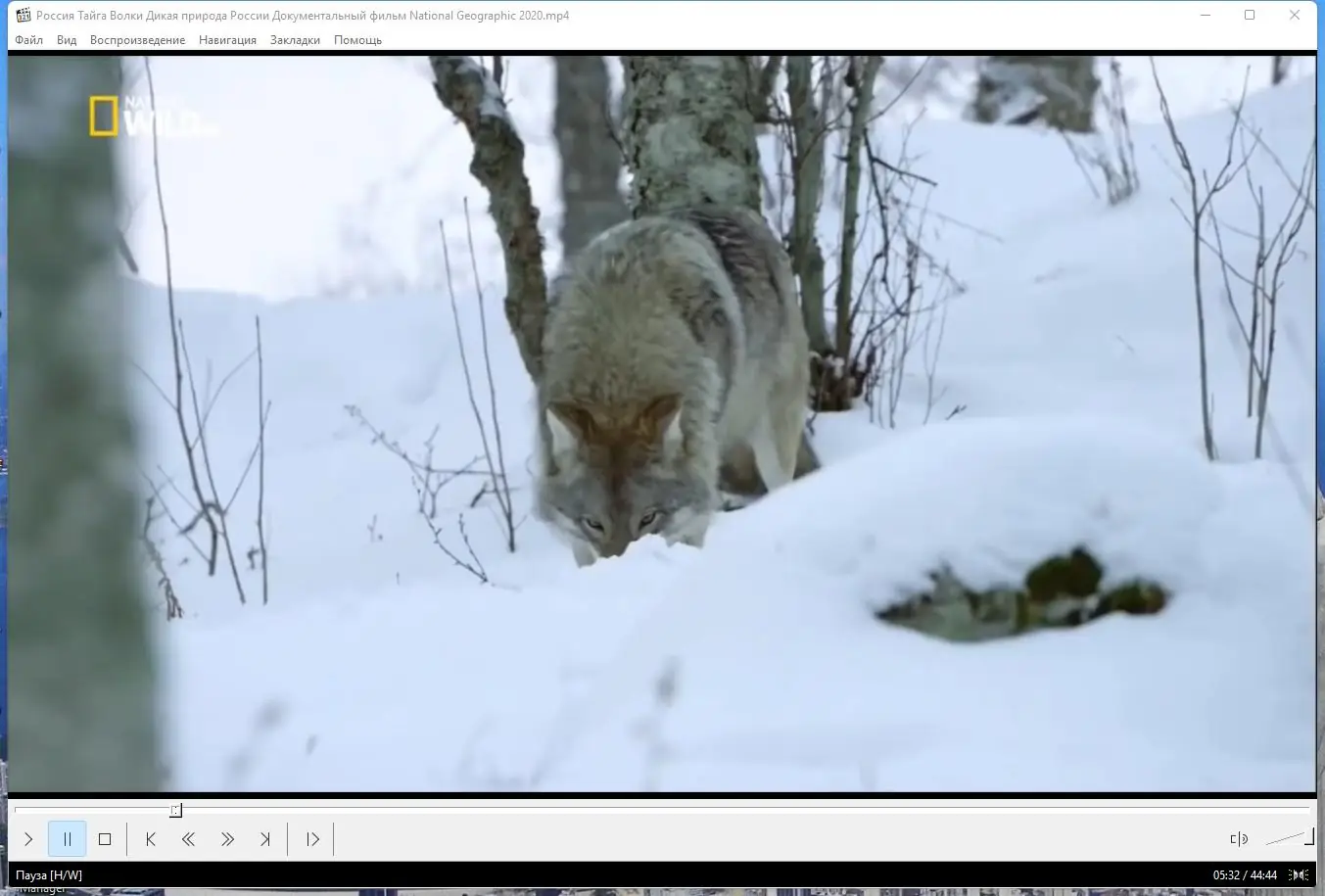 Программный интерфейс Media Player Classic Home Cinema (MPC-HC) 2.0.0 RePack (& portable) by elchupacabra [Multi Ru]