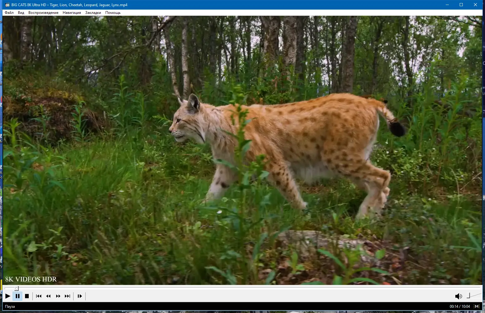 Программный интерфейс Media Player Classic Home Cinema (MPC-HC) 2.1.3 RePack (& portable) by elchupacabra [Multi Ru]