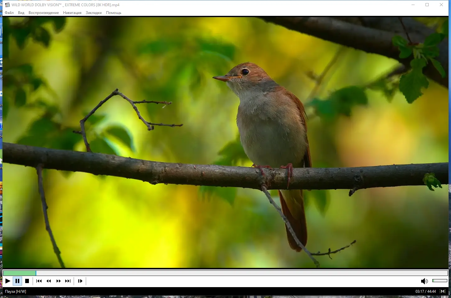 Программный интерфейс Media Player Classic Home Cinema (MPC-HC) 2.3.2 RePack (& portable) by KpoJIuK [Multi Ru]